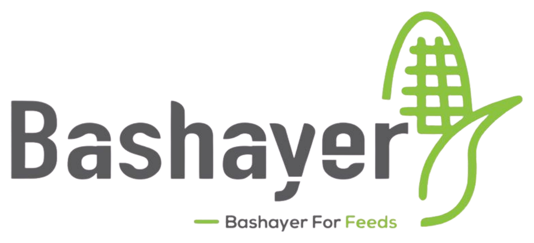 Bashayer logo
